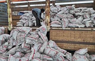 Bingöl Genç’te ihtiyaç sahibi ailelere kömür...