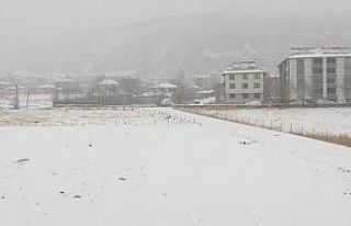 Bingöl karla beyaza büründü