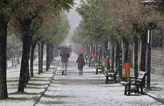 Bingöl’de kar yağışı etkili oldu