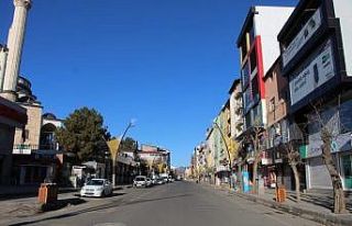 Bingöl’de kısıtlamaya uymayan 71 kişiye 223...