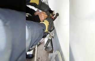 Bisiklet sepetine patisi sıkışan kediyi itfaiye...