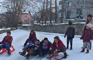 Bitlisli çocuklar karı eğlenceye dönüştürdü