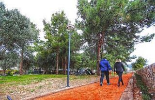 Bodrum Belediyesi’nden can dostlara jest, ‘Dost...