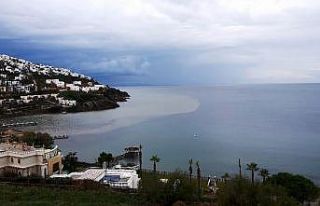 Bodrum’da denizin rengi kahverengiye dönüştü