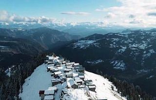 Boselta yaylasında kış güzelliği nefes kesiyor