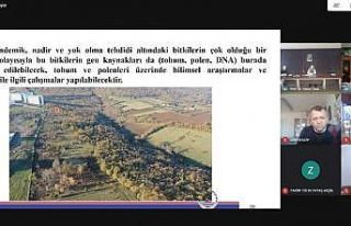 Botanik bahçesi ile kampüste görsel bir şölen...