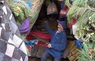 Bu çiftin hayatı görenleri şaşırtıyor