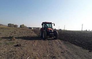 Bu ilçede buram buram lavanta kokacak