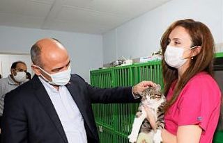 Bu merkez hayvanlara sıcak yuva oluyor