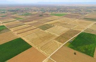 Bu yıl Burdur ve Afyon’da 12 bin 73 hektar alan...