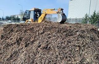 Budama atıkları kompost gübre oldu