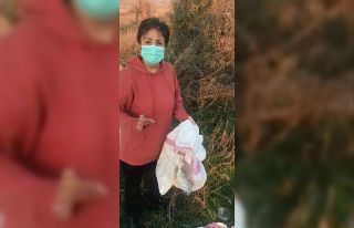 Bunun adı vicdansızlık...12 köpeği canlı canlı...