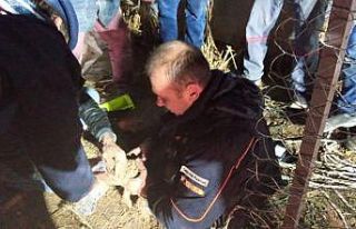 Burdur’da sondaj kuyusuna düşen yavru köpek kurtarıldı