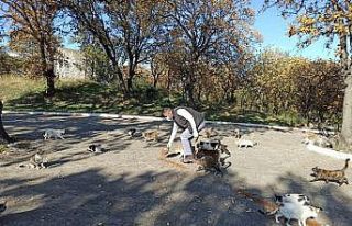 Burhaniye’de Belediye Can dostlarını unutmadı