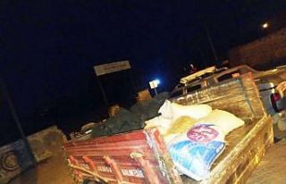 Burhaniye’de jandarma zeytin hırsızlarına göz...