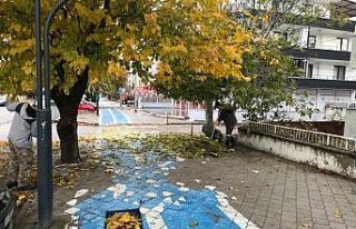 Burhaniye’de kış hazırlığı başladı