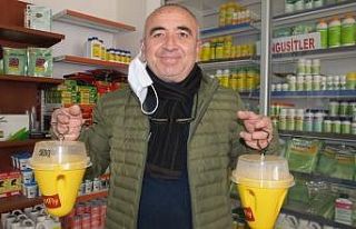 Burhaniye’de zeytin sineğine karşı organik tuzaklar...