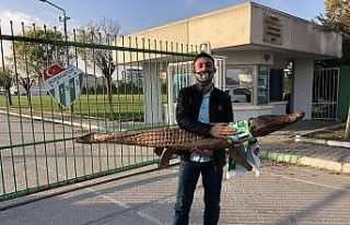 Bursaspor taraftarı tesise timsah getirdi