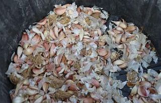 Büyükçekmece’de tarım seferberliği sürüyor