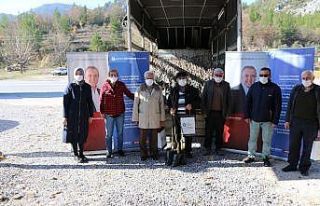 Büyükşehirden 4 ilçeye, ücretsiz 6 bin 500 ceviz...