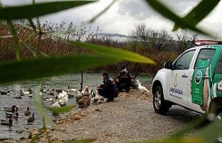 Can dostlar Jandarmaya emanet