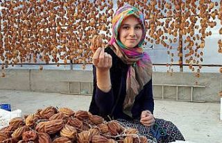 Cennet hurması, altın yılını yaşıyor