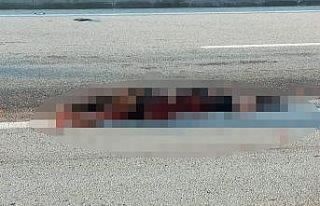 Çevre yolunda feci ölüm