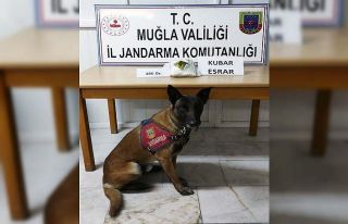 Cezaevinden izinli ayrıldı, dönüşte uyuşturucu...