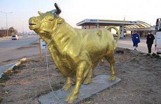 ‘Charging Bull’a Amasya’dan yeni rakip
