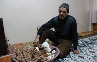 Çiftçi aile erken doğan buzağıya kendi çocukları...