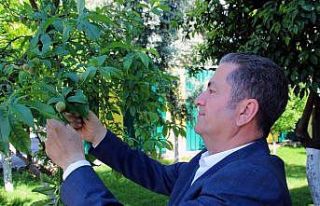 Çiftçiler ÇKS belgeleri ile sokağa çıkma yasağından...