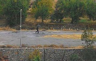 Çiftçilerin yüzü yağmur ile güldü