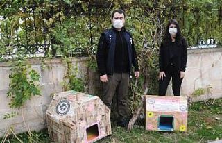 Cizre polisi sokak hayvanlarını unutmadı