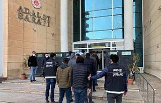 Cizre’de uyuşturucu operasyonunda 7 tutuklama