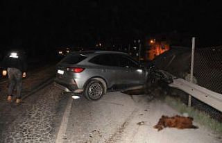 Cizre’de yola çıkan koyunlar zincirleme kazaya...