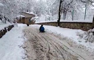 Çocukların kızak keyfi