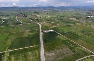 Çorum’da 2 bin 448 hektar arazi toplulaştırıldı