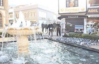 Çorum’da sokak hayvanları unutulmadı