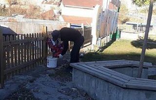 Çukurca Belediyesinden sokak hayvanlarına mama desteği