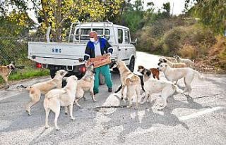 Çukurova’da sokak hayvanlarına mama ve su desteği
