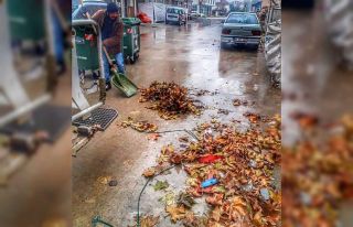 Cumayeri’nde sonbahar temizliği
