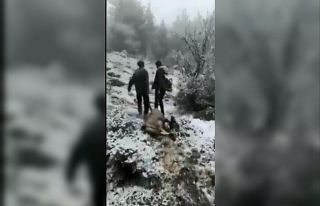 Dağ keçisi avlayan avcılar sosyal medyanın gündeminde