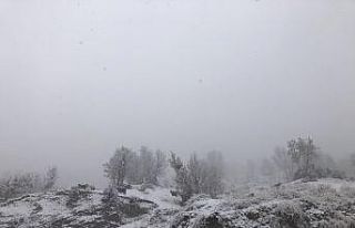 Dağda kar yağışına yakalanan çoban, keçileriyle...