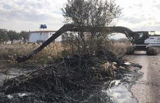 Dayıoğlu Mahallesi’nin deresi temizlendi