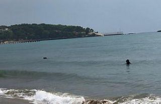 Define avcıları sualtına dalış yaparak, turistlerin...