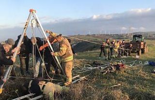 Define tutkusu az daha canından ediyordu