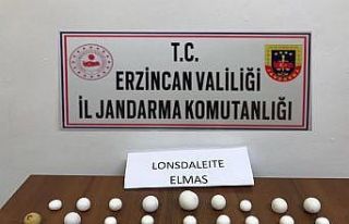 Değerli madeni taşları satmaya çalışan 10 kişi...