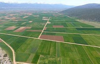 Denizli’de 2020 yılında 6 bin 500 hektar alanın...