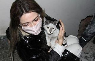Depremden bu yana kayıp kedisine 42 gün sonra kavuştu