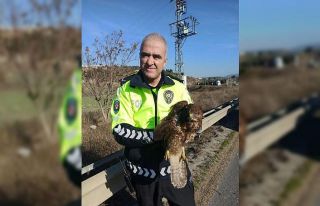 Devriye gezen trafik polisleri buldu